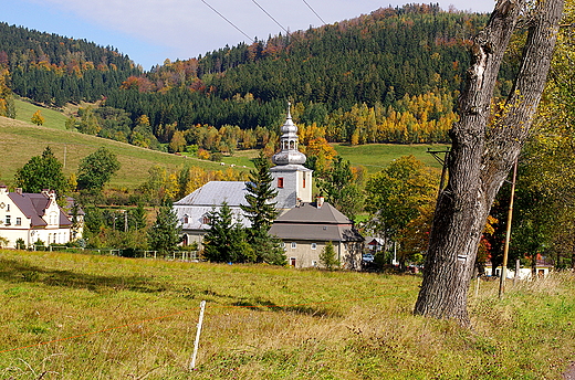 Koci w Leszczycu