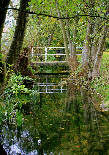 Barwy jesieni - park w Barlinku