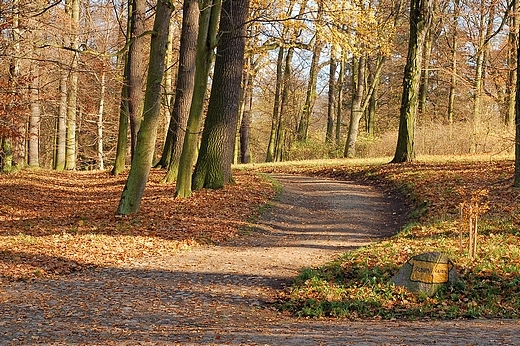 Jesienny park