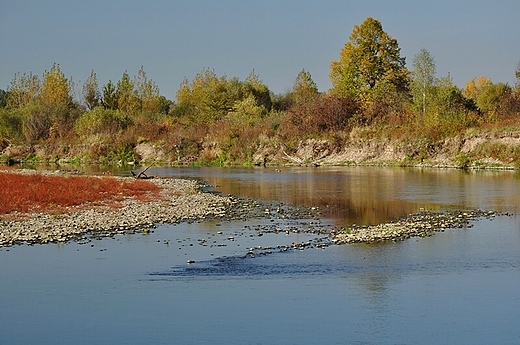 Jesie nad So