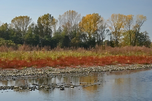 Jesie nad So