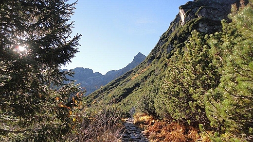 Tatry