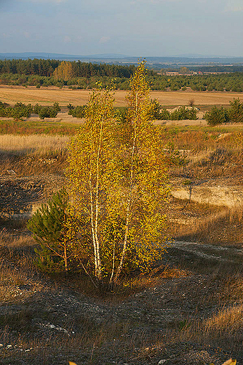 Barwy jesieni