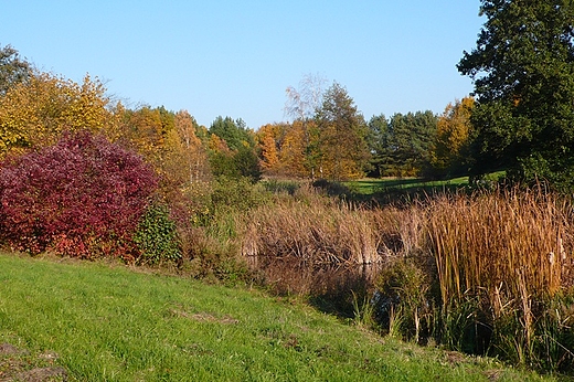 w ogrodzie botanicznym