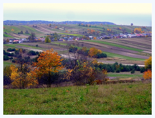 z Bukowej Gry