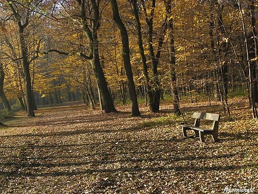 Park Zielona