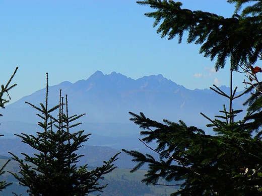 Tatry z Wlk.Rogacza