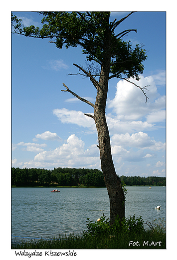 Wdzydze Kiszewskie - jezioro Gou