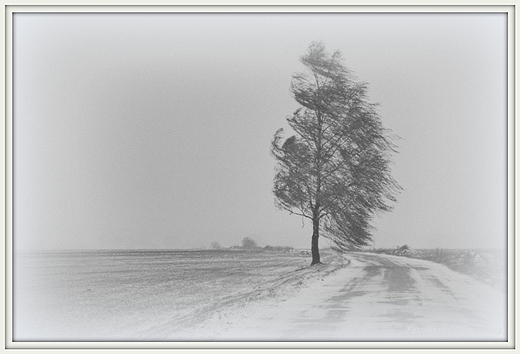 Zimowe klimaty...