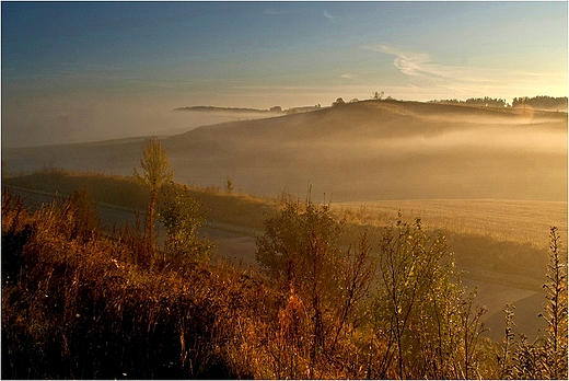 Zota Suwalszczyzna.