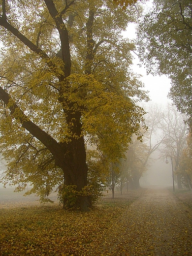 Kalwaria Pakoska