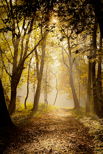 Park Krajobrazowy Cysterskie Kompozycje Krajobrazowe Rud Wielkich