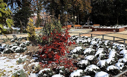 Park w dawnej czci uzdrowiskowej w jesienno-zimowej szacie.