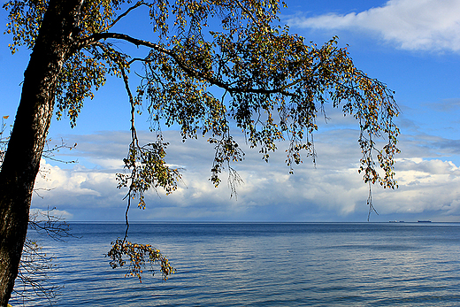 Gdynia Kolibki - widok na Zatok