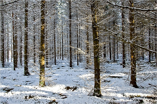 Suwalszczyzna - zima w padzierniku.