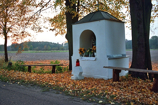 Okolice Rawki Mazowieckiej (Ruda). Mazowsze