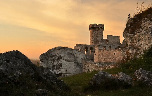 Zamek Ogrodzieniec