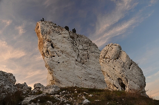 Skaki w Ogrodziecu