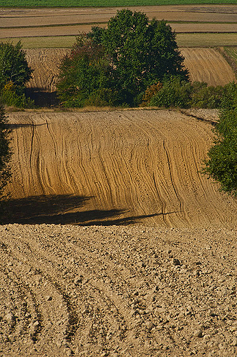 witokrzyskie klimaty