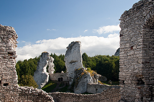 ruiny Zamku Ogrodzieniec