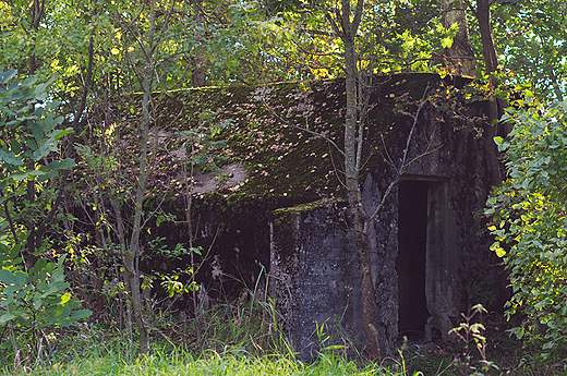 Schartenstand D Heinrich