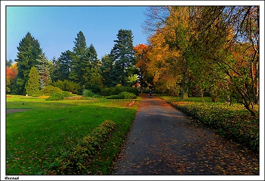 Pozna - Ogrd Botaniczny Uniwersytetu im. A. Mickiewicza