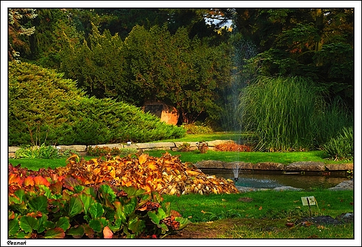Pozna - Ogrd Botaniczny Uniwersytetu im. A. Mickiewicza