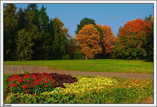 Pozna - Ogrd Botaniczny Uniwersytetu im. A. Mickiewicza