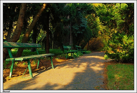 Pozna - Ogrd Botaniczny Uniwersytetu im. A. Mickiewicza