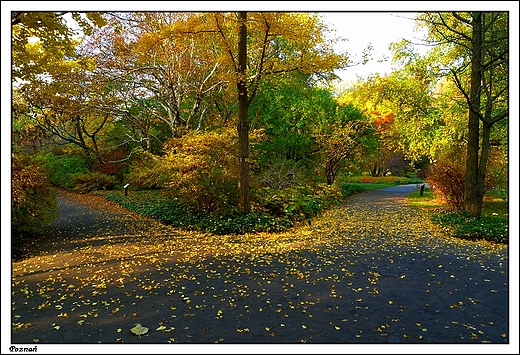 Pozna - Ogrd Botaniczny Uniwersytetu im. A. Mickiewicza