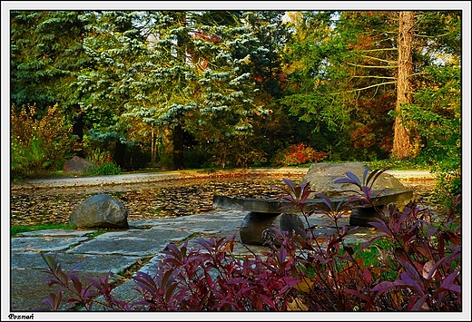 Pozna - Ogrd Botaniczny Uniwersytetu im. A. Mickiewicza