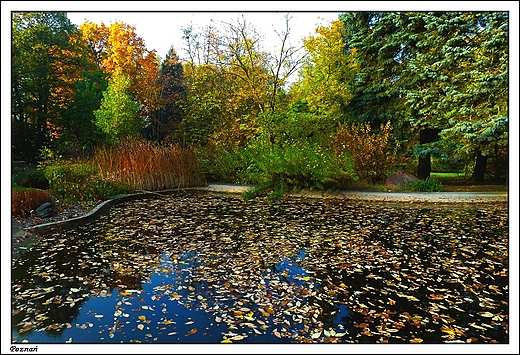 Pozna - Ogrd Botaniczny Uniwersytetu im. A. Mickiewicza