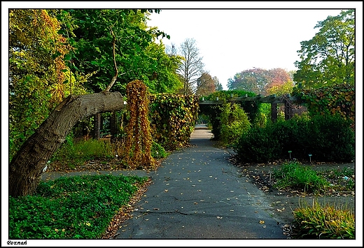 Pozna - Ogrd Botaniczny Uniwersytetu im. A. Mickiewicza