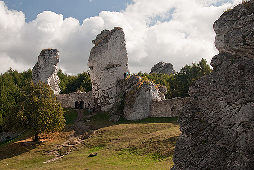 widok z murw zamku