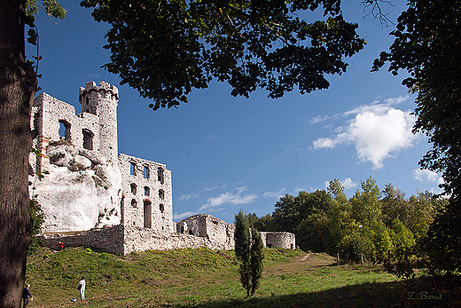 Zamek Ogrodzieniec