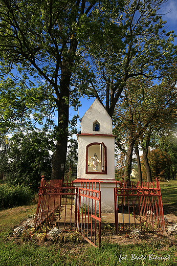 Trutnowy, przydrona kapliczka