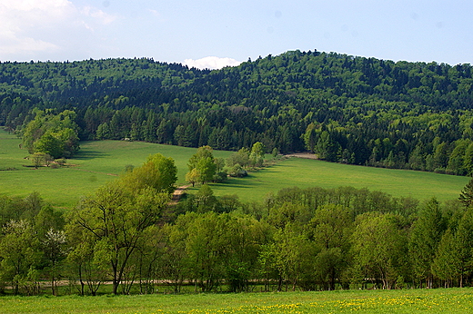 Niedaleko wsi Ropki