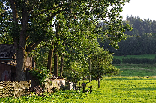 Wie Wieciszowice