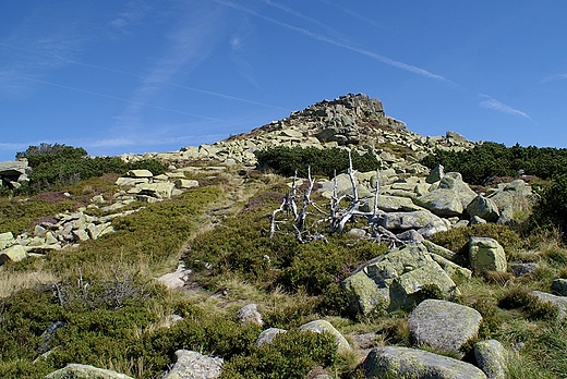 abski Szczyt - Karkonosze