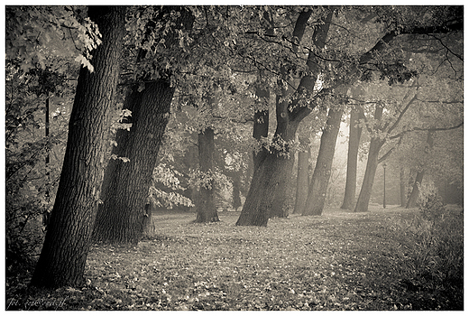 Park Krajobrazowy Cysterskie Kompozycje Krajobrazowe Rud Wielkich