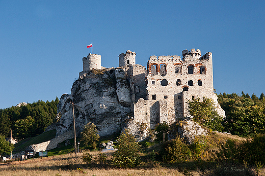 Zamek Ogrodzieniec