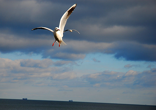 Sopot