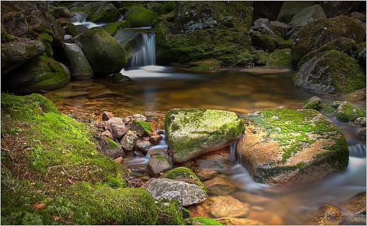 Karkonosze...