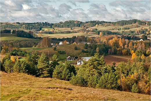 Suwalska wie.