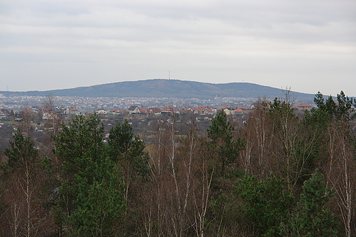 Widoki ze winiej Gry