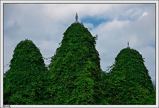 Krnik  rynek _ fragment bramy wejciowej na teren ogrdkw dziakowych