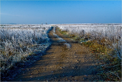 Paska Suwalszczyzna.