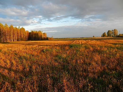 Krajobraz gminy Adamwka