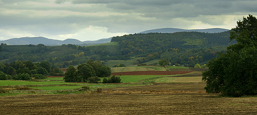 Widok na Gray Wabrzyskie.