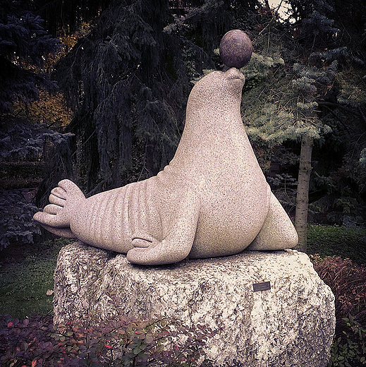 Warszawskie ZOO. Kamienna foka